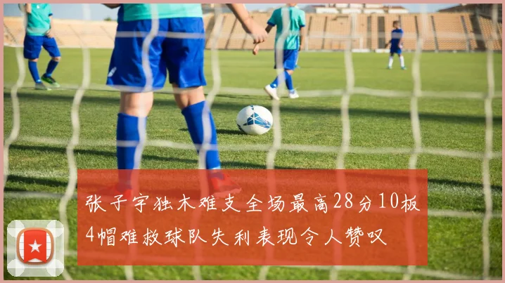 张子宇独木难支全场最高28分10板4帽难救球队失利表现令人赞叹
