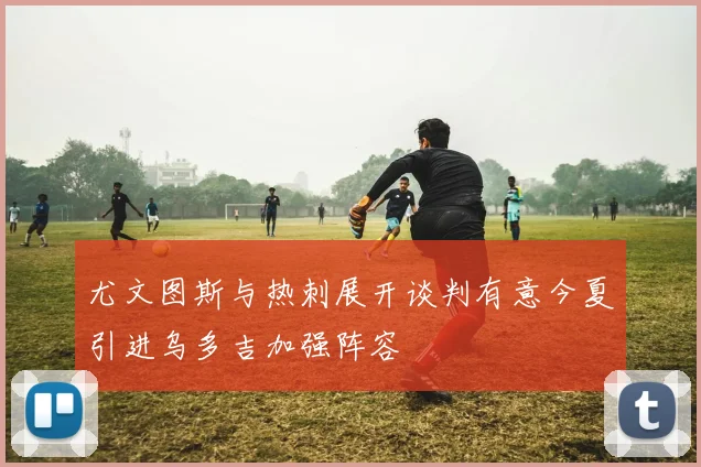 尤文图斯与热刺展开谈判有意今夏引进乌多吉加强阵容